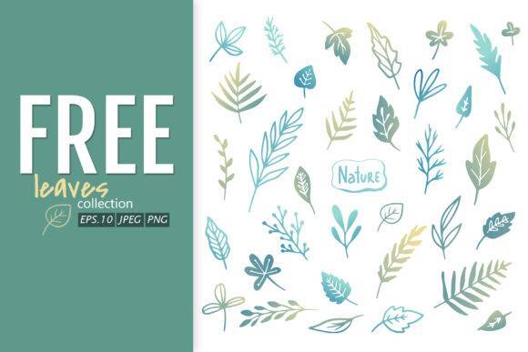 Vector Leaves Set featuring a collection of floral branches and leaves in various shapes and shades of green. Available in EPS, PNG, and JPEG formats.