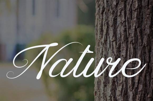 Luxury Font - Free Font - Free Digital Files