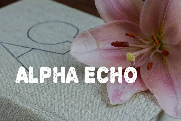 Alpha Echo Font displayed on textured background with a pink flower.