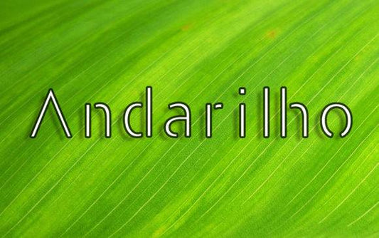 Andarilho Font displayed on a vibrant green leaf background.