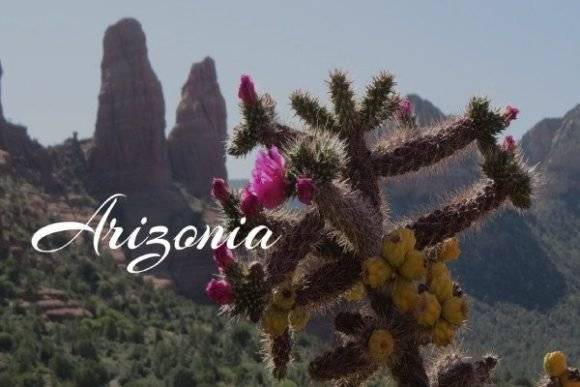 Arizonia font in elegant handwritten style over desert landscape with cactus.