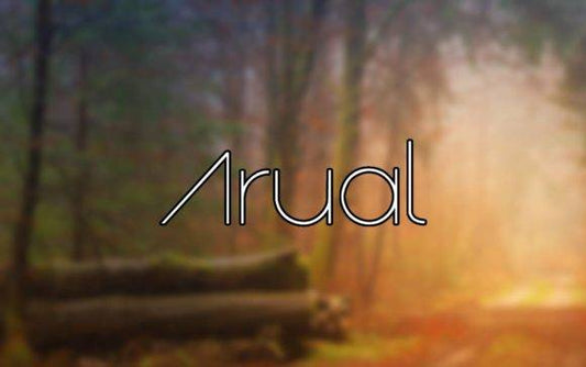 Arual Font - Beautiful and Flowing Design