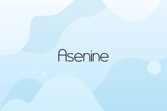 Asenine Font - Classic Sans Serif