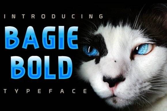 Bagie Bold Typeface with cat image background