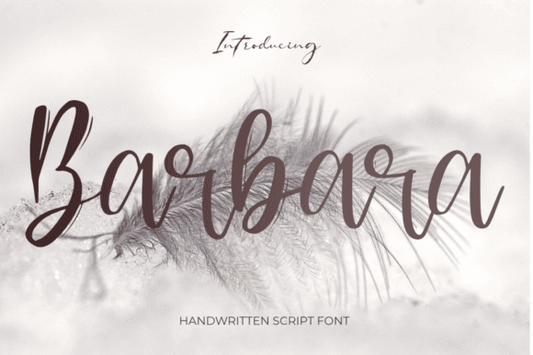 Barbara Font - Elegant Handwritten Typeface