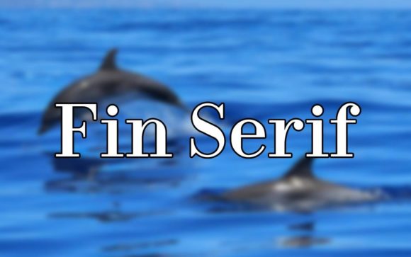 Fin Serif - Elegant Editorial Serif Font for Magazines & Blogs - Free Font - Free Digital Files